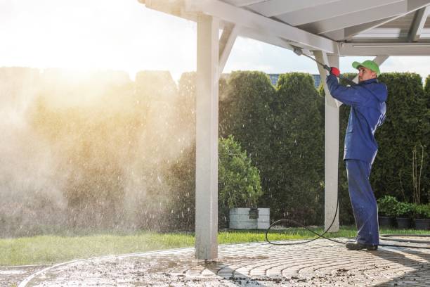 Best Solar Panel Cleaning  in Merrick, NY
